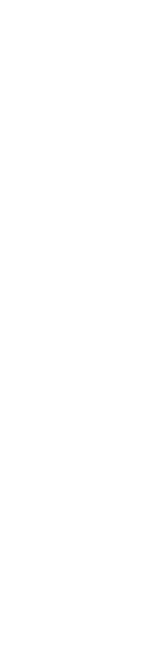 強さと、美しさが、見るものを魅了する。